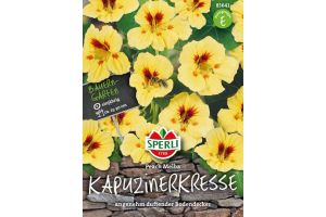 Kapuzinerkr. Peach Melba
