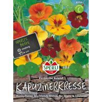Kapuzinerkresse Roland Mix
