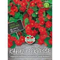 Kapuzinerkr. Scharlachgl.
