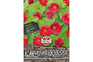 Kapuzinerkresse Whirlybird Rose