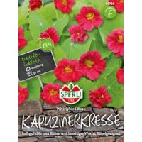 Kapuzinerkresse Whirlybird Rose