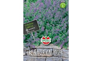 Katzenminze. Blauer Kater