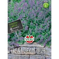 Katzenminze. Blauer Kater