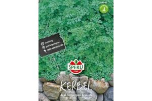 Kerbel. Commun