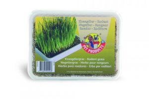 Knaagdiergras in plastic box 130gr