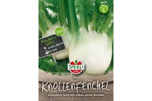 Knollenfenchel Fino