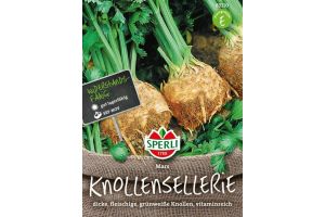 Knollensellerie. Mars