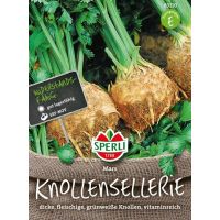 Knollensellerie. Mars