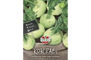Kohlrabi. Delikateß weißer