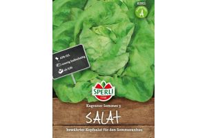 Kopfsalat. Kagr. Sommer 2