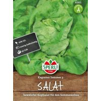 Kopfsalat. Kagr. Sommer 2