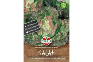 Kopfsalat. Merveille des qua