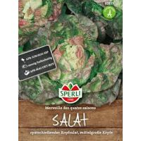 Kopfsalat. Merveille des qua