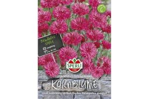 Kornblumen. Rote Lola