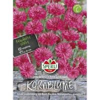 Kornblumen. Rote Lola