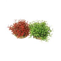 Kunststof plant waterball maxi 10cm