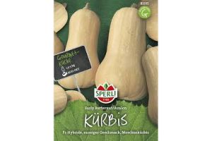 Kürbis Early Butternut / Avalon F1
