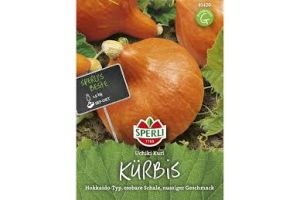 Kürbis. Uchiki Kuri