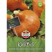 Kürbis. Uchiki Kuri