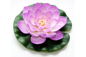 Lotus foam fuchsia 20cm