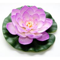 Lotus foam fuchsia 20cm