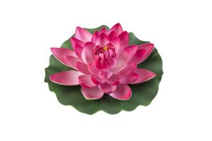 Lotus foam fuchsia 28cm