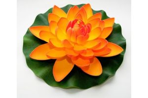 Lotus foam orange 10cm - afbeelding 1