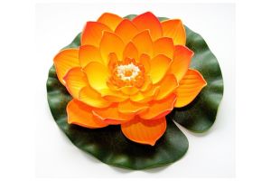 Lotus foam orange 20cm