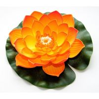 Lotus foam orange 20cm