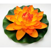 Lotus foam orange 28cm