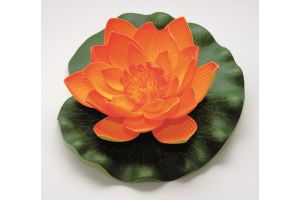 Lotus foam oranje 17cm