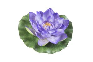 Lotus foam paars 17cm