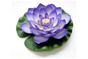 Lotus foam paars 20cm