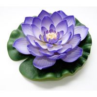 Lotus foam paars 20cm