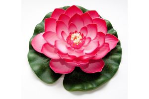 Lotus foam roze 20cm