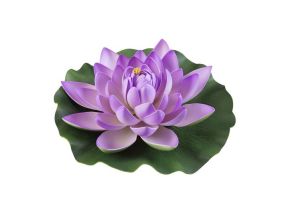 Lotus foam roze 28cm