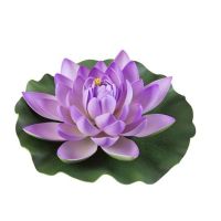 Lotus foam roze 28cm