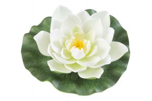 Lotus foam white 17cm