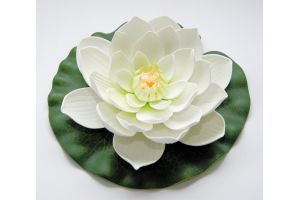 Lotus foam white 20cm