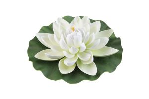 Lotus foam white 28cm