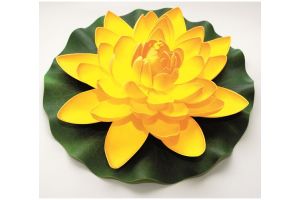 Lotus foam yellow 28cm