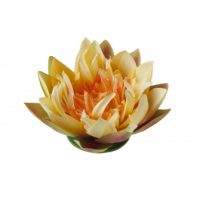 Lotus geel 17cm