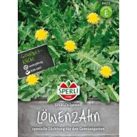 Löwenzahn  Lyonell