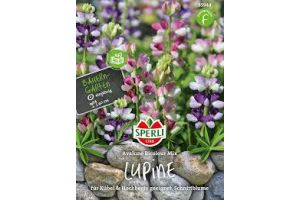 Lupine Avalune Bicoour Mix
