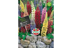 Lupinen. Zauberkerzen