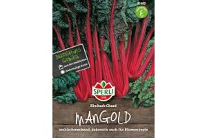 Mangold. Rhubarb Chard