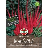 Mangold. Rhubarb Chard