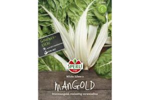 Mangold. White Silver 2