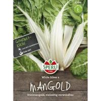 Mangold. White Silver 2