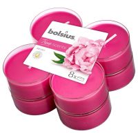 Maxilicht ts peony 8st